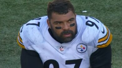 Cameron Heyward Wiki, Girlfriend, Net Worth, Biography, Facts, and more